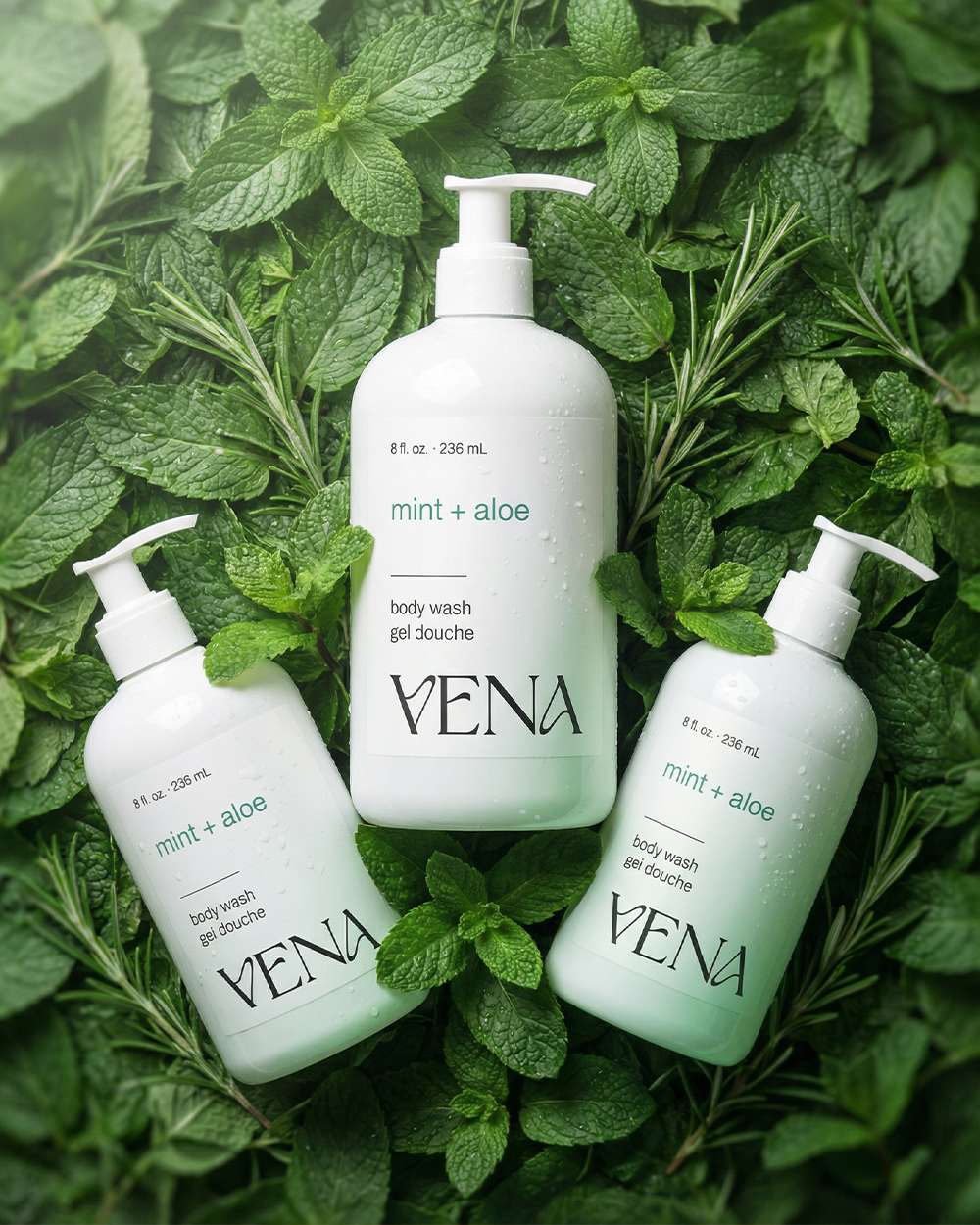 Mint + Aloe Body Wash